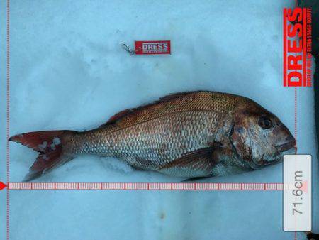 IDATEN（イダテン） 釣果