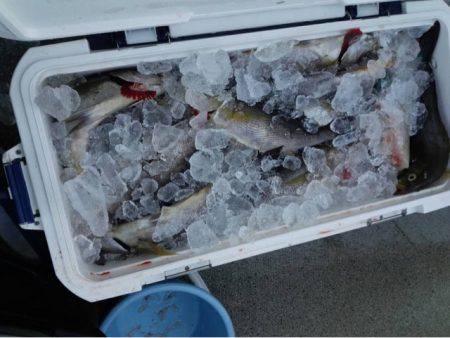 第二大福丸 釣果