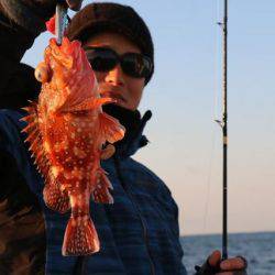 へいみつ丸 釣果