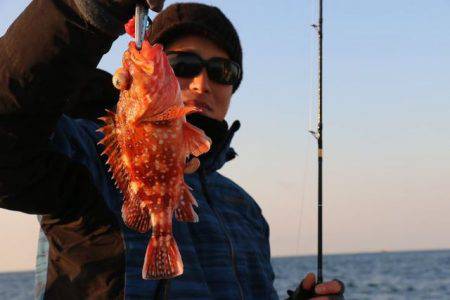 へいみつ丸 釣果