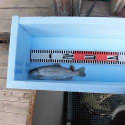 OLAHO　FISHING SPOT 釣果