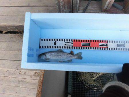 OLAHO　FISHING SPOT 釣果…