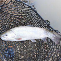 OLAHO　FISHING SPOT 釣果