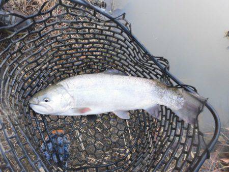 OLAHO　FISHING SPOT 釣果