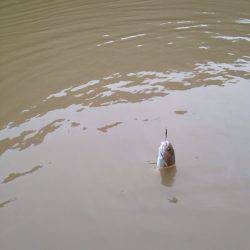 OLAHO FISHING SPOT 釣果