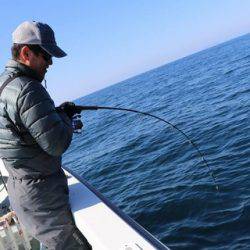 スカイマリン 釣果