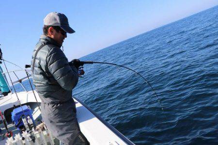 スカイマリン 釣果