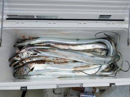 遊漁船　ニライカナイ 釣果