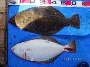 石川丸 釣果