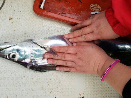 遊漁船　ニライカナイ 釣果