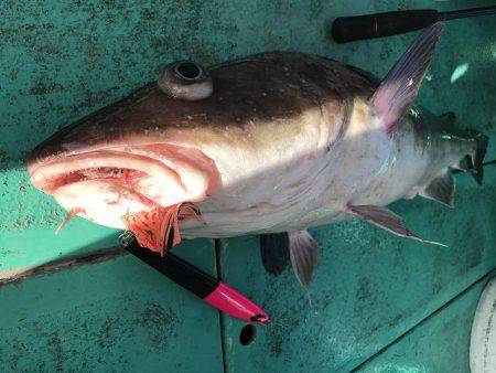 広進丸 釣果