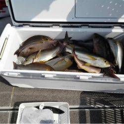 第二大福丸 釣果