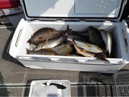 第二大福丸 釣果