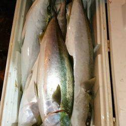 スカイマリン 釣果