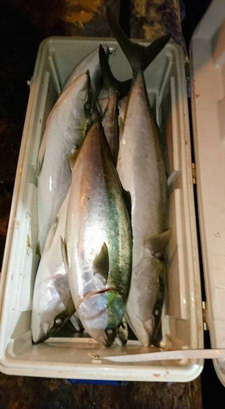 スカイマリン 釣果