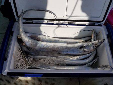 遊漁船　ニライカナイ 釣果