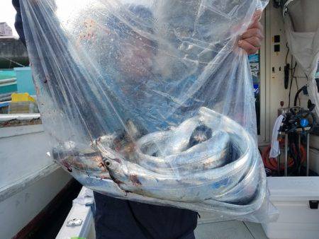 遊漁船　ニライカナイ 釣果