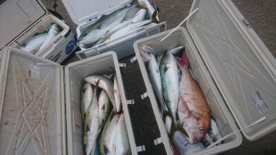 IDATEN（イダテン） 釣果