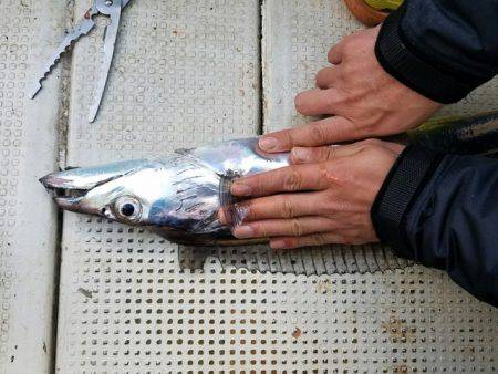 遊漁船　ニライカナイ 釣果