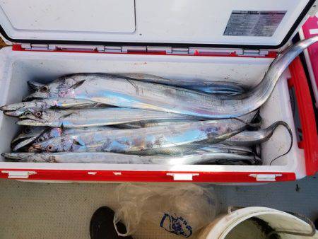 遊漁船　ニライカナイ 釣果