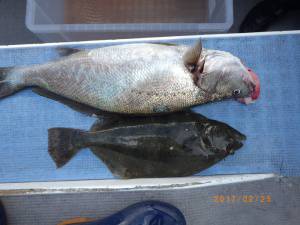 石川丸 釣果