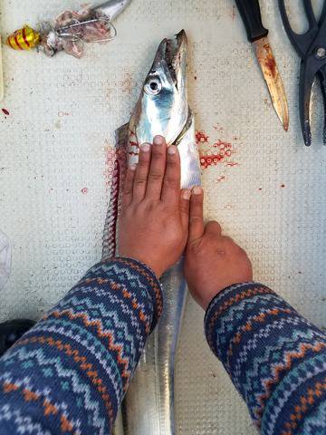 遊漁船　ニライカナイ 釣果