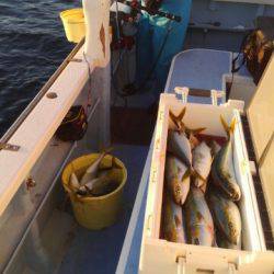 誠いち丸 釣果