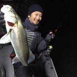 シーマジカル 釣果