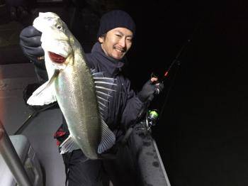 シーマジカル 釣果