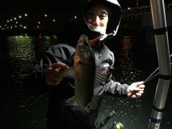 シーマジカル 釣果