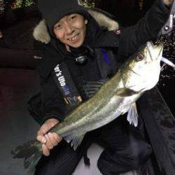 シーマジカル 釣果