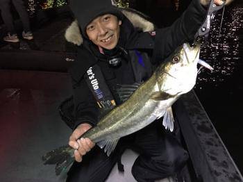 シーマジカル 釣果