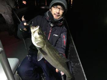 シーマジカル 釣果