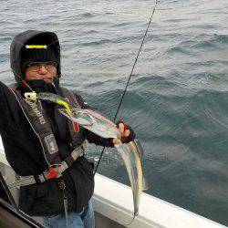 遊漁船 遊友 釣果