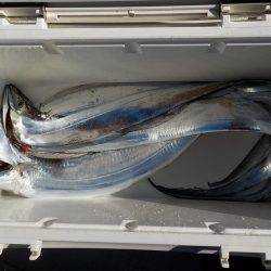 遊漁船 遊友 釣果