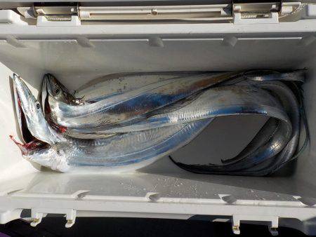 遊漁船 遊友 釣果