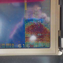 遊漁船 遊友 釣果