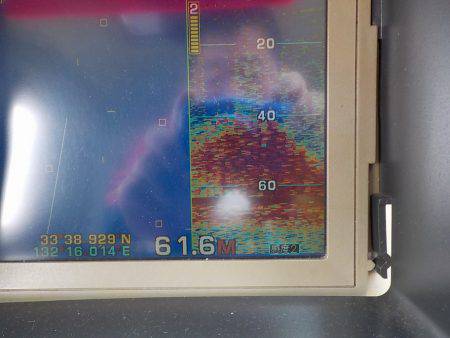 遊漁船 遊友 釣果