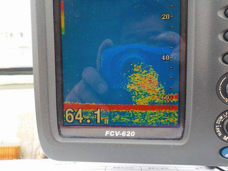遊漁船 遊友 釣果