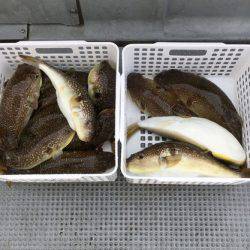 さんさん丸 釣果