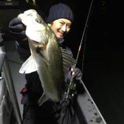 シーマジカル 釣果