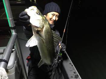 シーマジカル 釣果