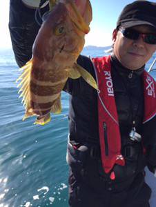 シーモンキー 釣果