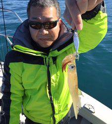 シーモンキー 釣果