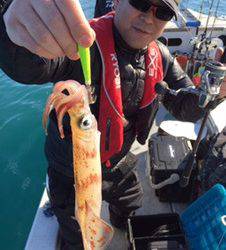 シーモンキー 釣果