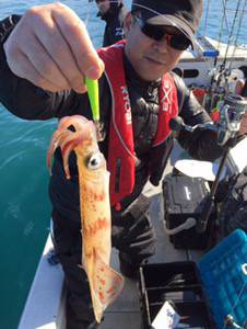 シーモンキー 釣果