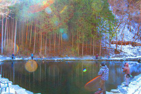 小菅トラウトガーデン 釣果