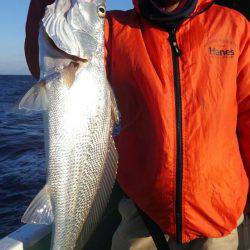 遊漁船 新鋭丸 釣果