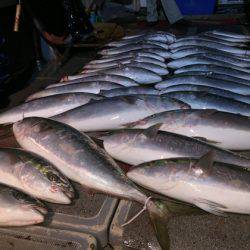 幸風（さちかぜ） 釣果