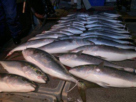 幸風（さちかぜ） 釣果